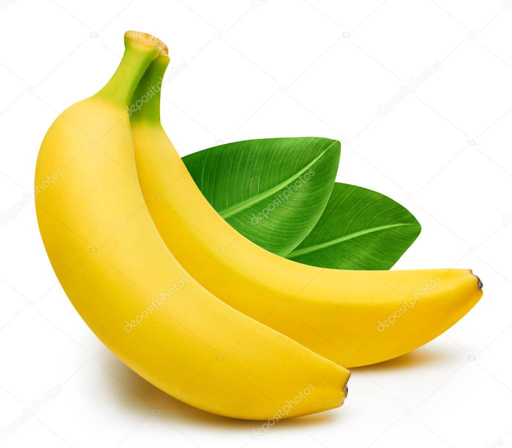 Bunch of bananas isolated