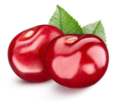 kiraz beyaz üzerine izole