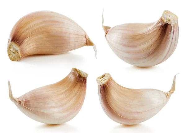 Knoblauch isoliert auf weiß — Stockfoto