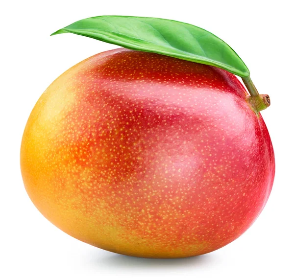 Mango geïsoleerd op wit — Stockfoto