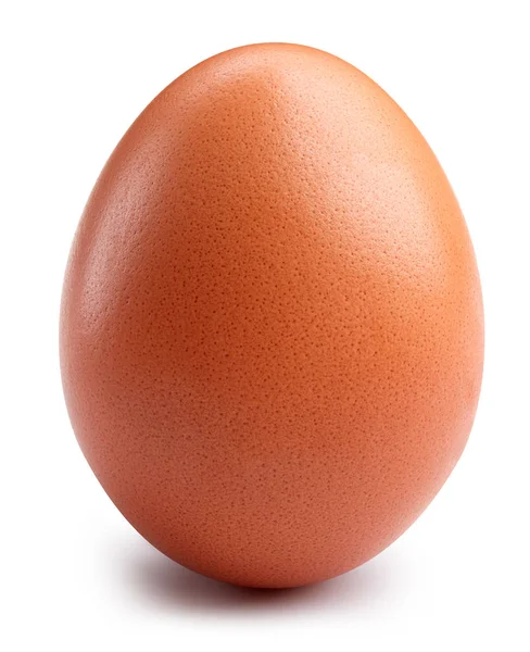 Яйцо изолировано на белом — стоковое фото