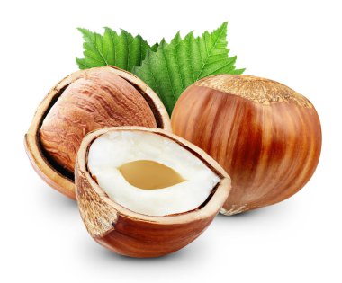 Fındık izole kırpma yolu