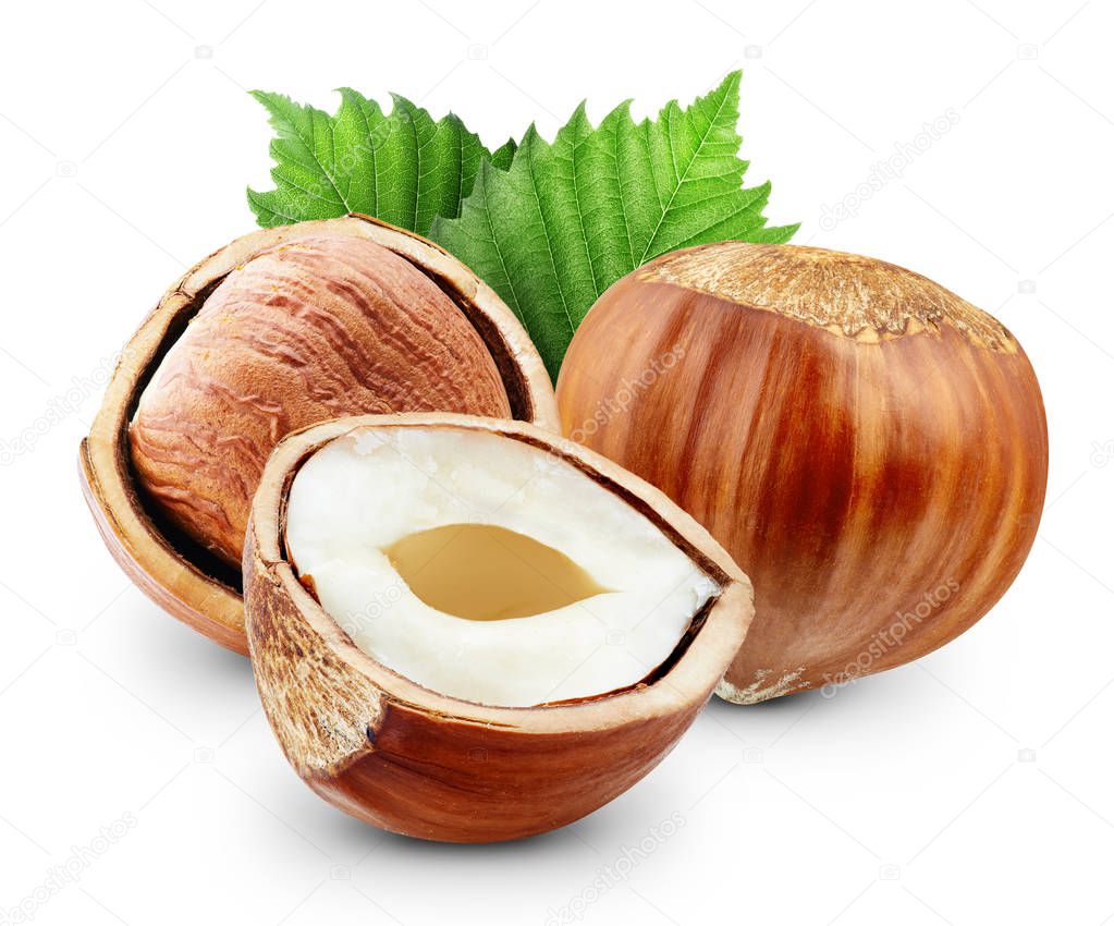 Hazelnut isolated Clipping Path