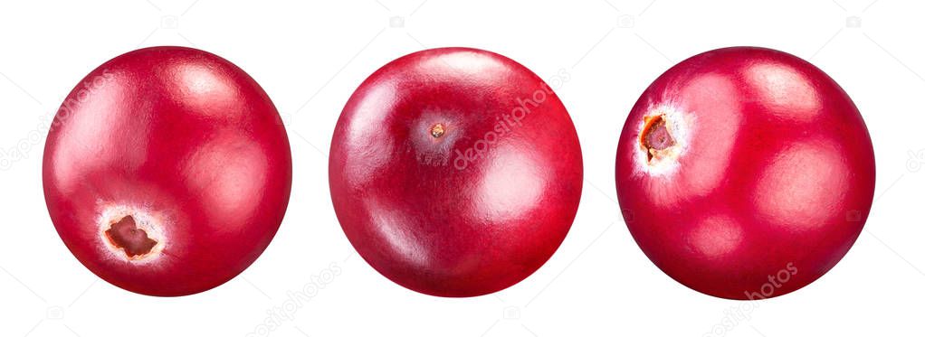 Cranberry isolated Clipping Path