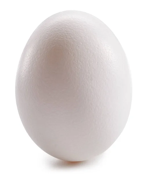 S vejcem izolované na bílém — Stock fotografie