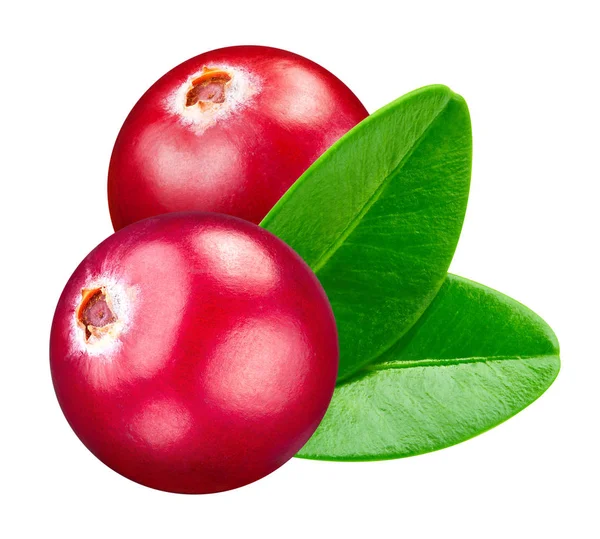 Cranberry isolado Clipping Path — Fotografia de Stock