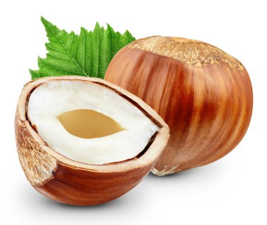 Fındık izole kırpma yolu