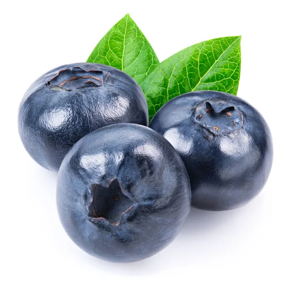 Blueberry geïsoleerd uitknippad — Stockfoto