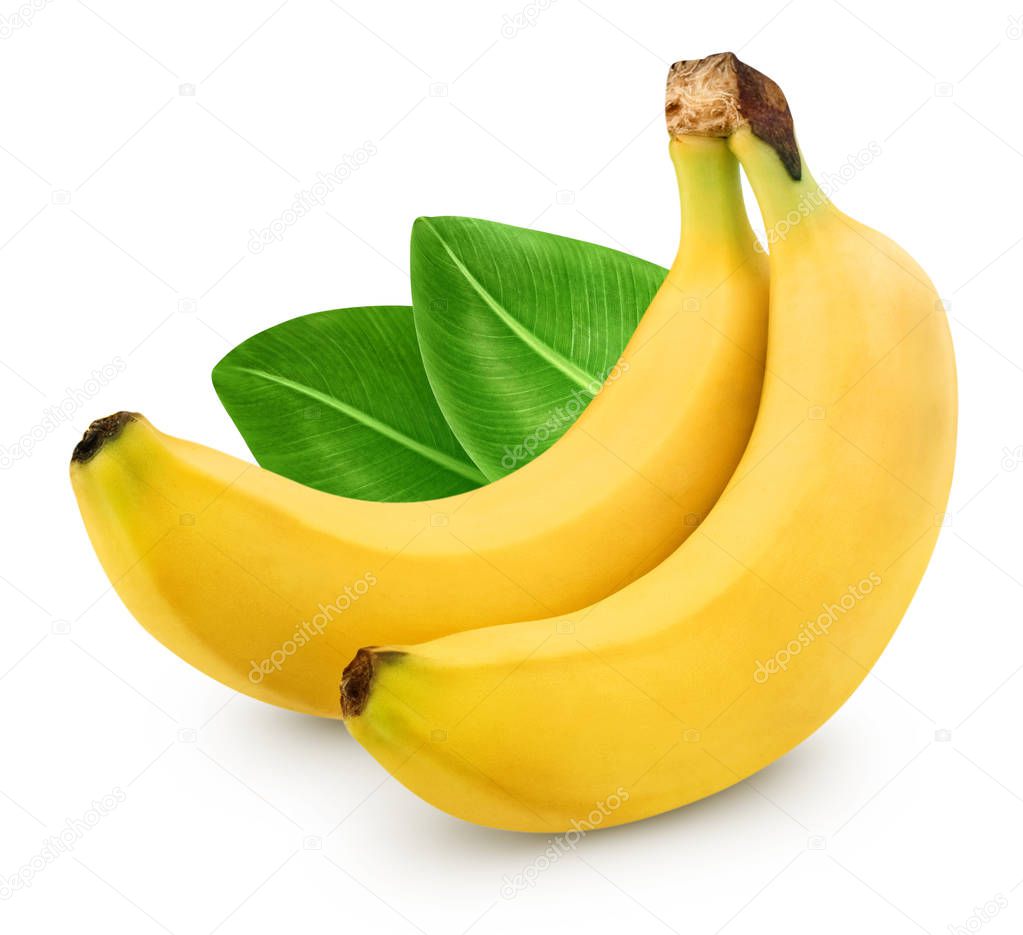 Bunch of bananas isolated