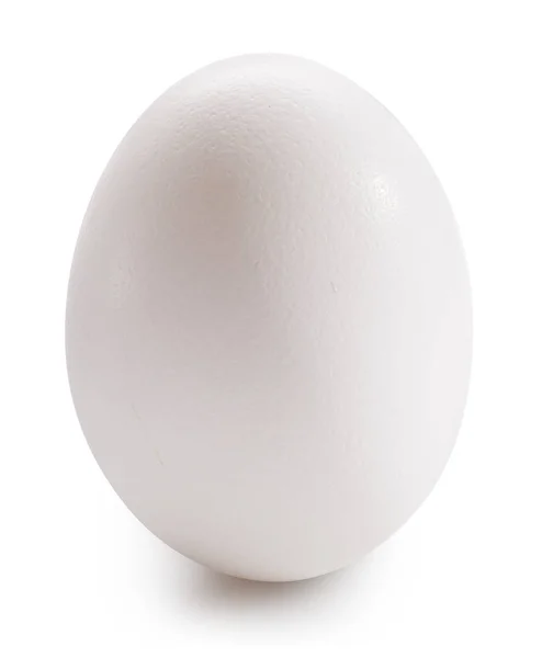 Mit Ei isoliert auf weiß — Stockfoto