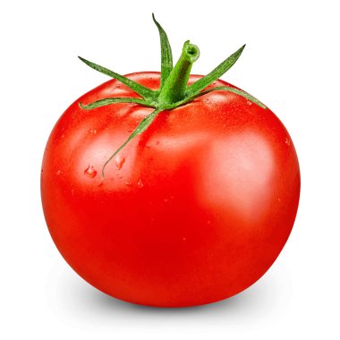 domates vektör çizim