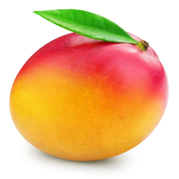 Illustration des Mango-Vektors — Stockvektor