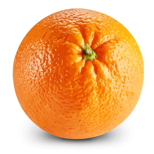 Ilustración vectorial naranja — Vector de stock