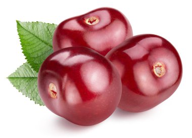 kiraz beyaz üzerine izole