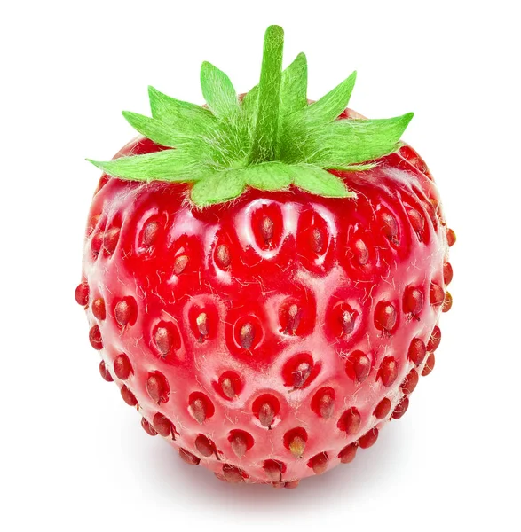 Strawberry isolated on white — Stock Photo, Image