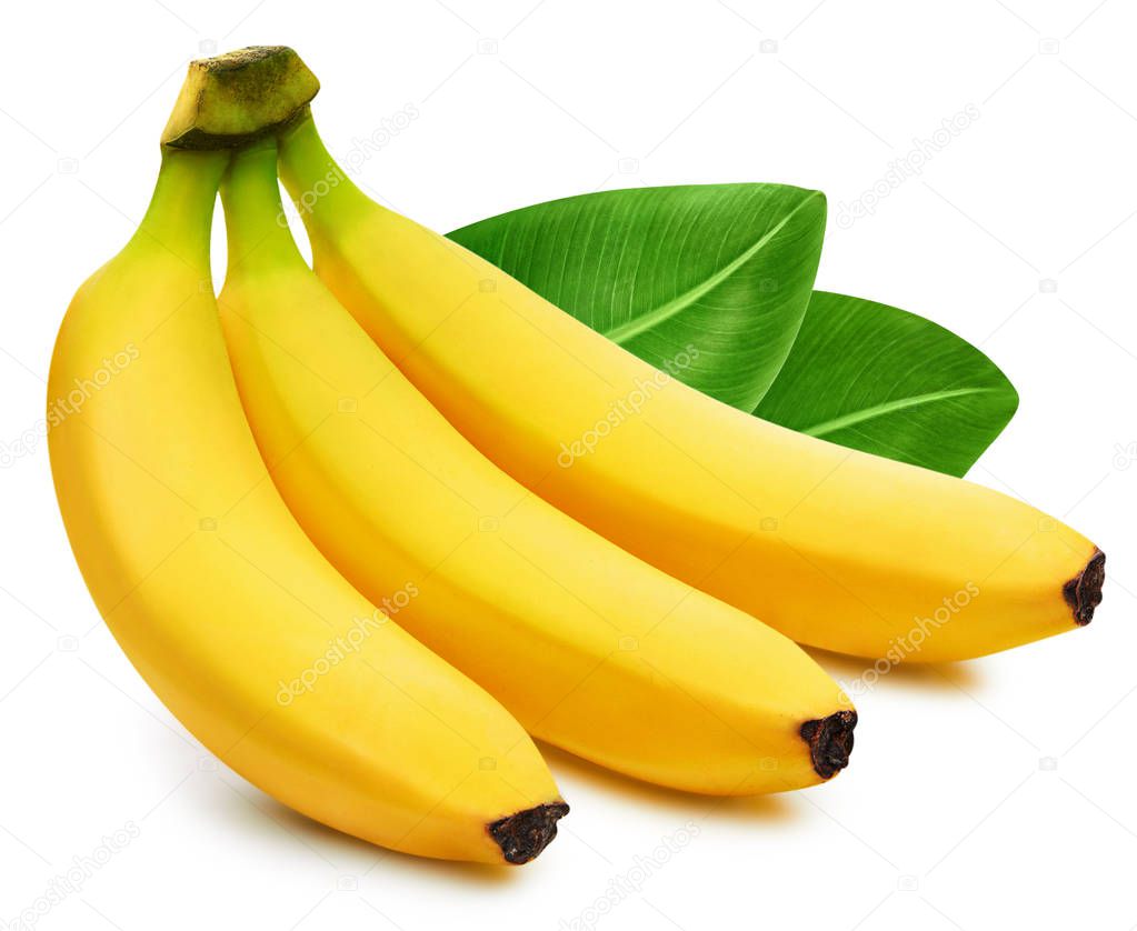 Bunch of bananas isolated