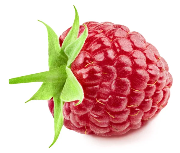 Raspberry leaf isolated — Stock Photo, Image