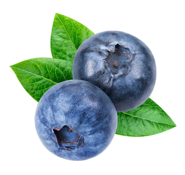 Blueberry geïsoleerd uitknippad — Stockfoto