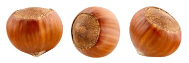 Fındık izole kırpma yolu