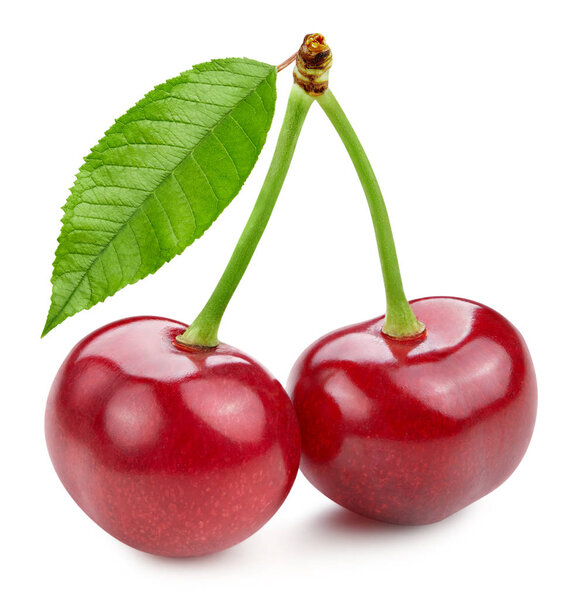 Вишневый лист изолирован
