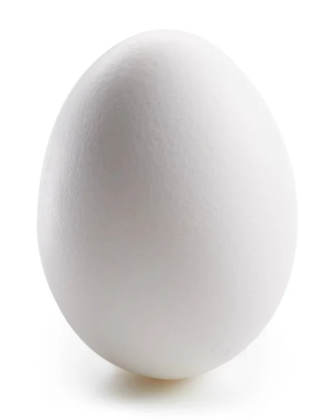 With egg isolated on white — Stock Photo, Image