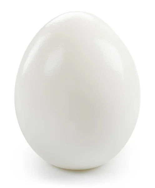 With egg isolated on white — Stock Photo, Image