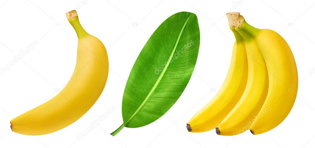 Bunch of bananas isolated