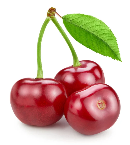 Cherry blad geïsoleerd — Stockfoto