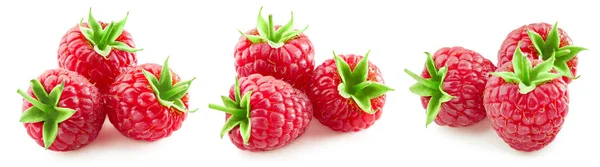 Raspberry berry Clipping Path — Stock Photo, Image