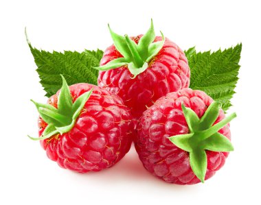 Ahududu meyvesi kırpma yolu