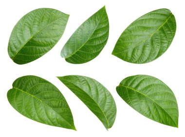 Somun kırpma yolu bırakır