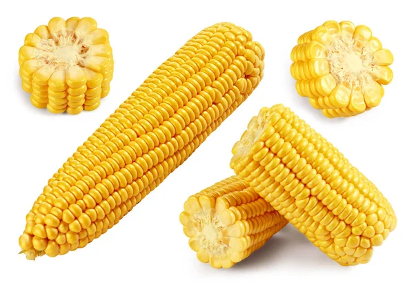 Corn Clipping Path isolé sur fond blanc — Photo