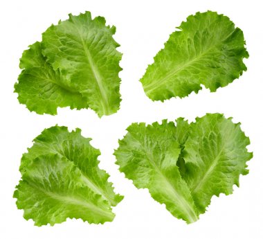 Kırpma yolu marul yaprakları