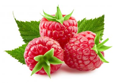 Ahududu meyvesi kırpma yolu