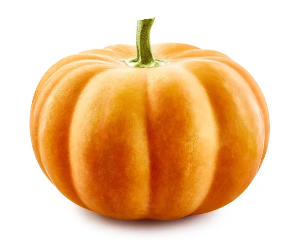 Pumpkin isolated on white — Stock Photo, Image