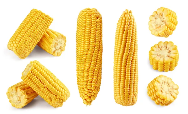 Corn Clipping Path isolato su sfondo bianco — Foto Stock