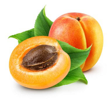 Apricot isolated Clipping Path clipart