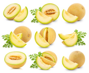 melon fruits collection