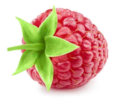 Ahududu Yaprağı izole