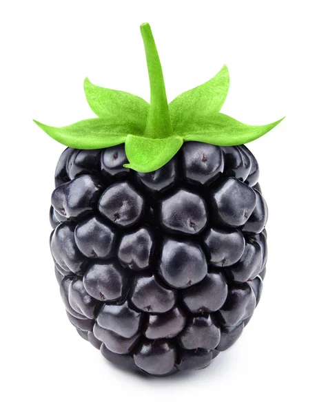 黑莓叶分离 — 图库照片