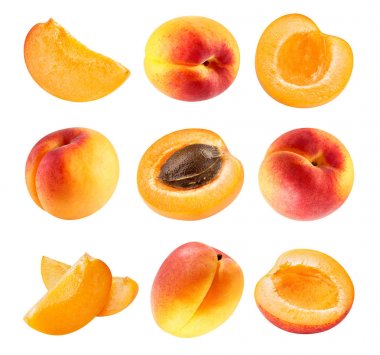 Apricot collection Clipping Path clipart