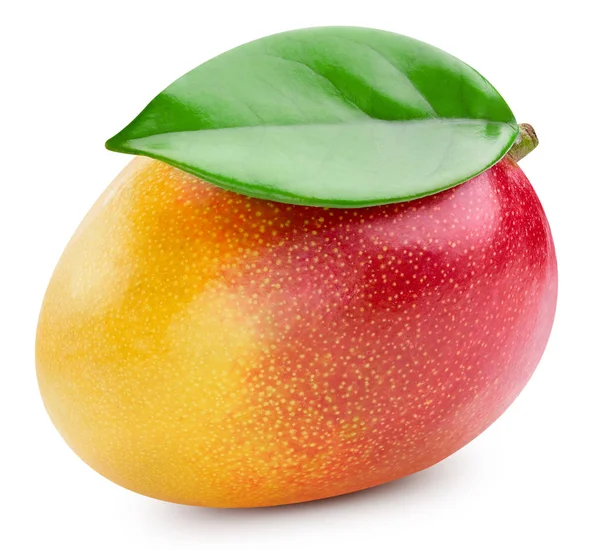 Mango isoliert auf weiß — Stockfoto