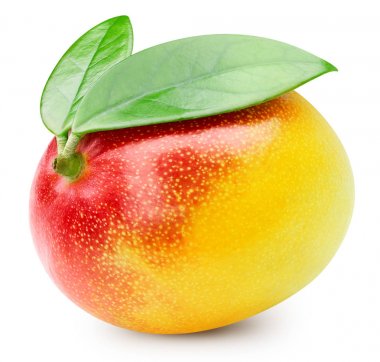 Mango beyaz üzerine izole
