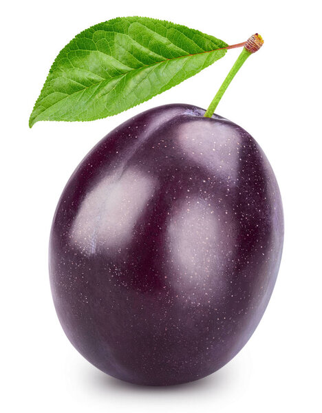 Сливы наполовину с изолированными листьями
