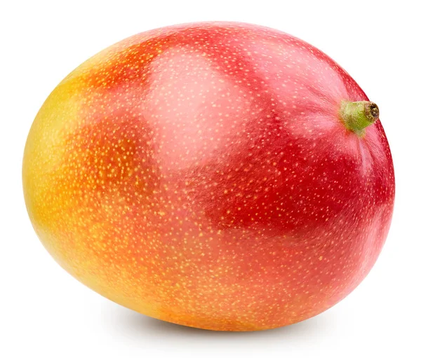 Mango isoliert auf weiß — Stockfoto