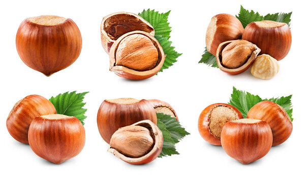 Орехи, изолированные на белом