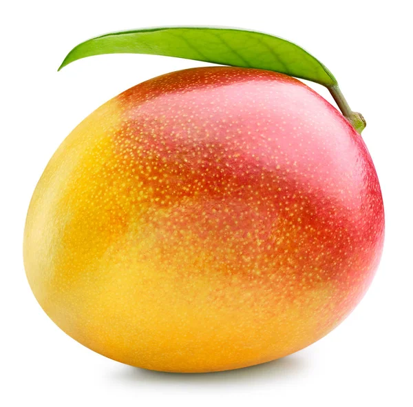 Mango isolated on white — Stock Photo, Image