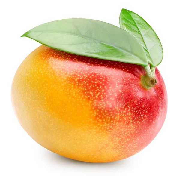 Frutto di mango isolato su bianco — Foto Stock