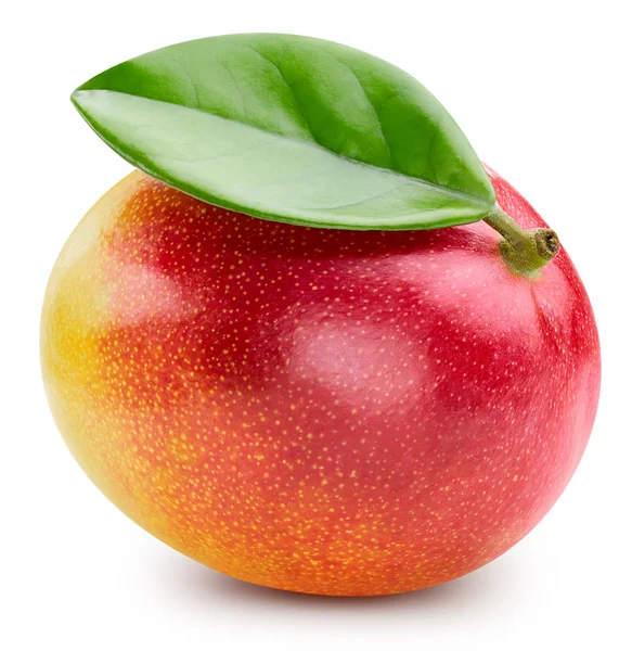 白に隔離されたマンゴーの果実 — ストック写真