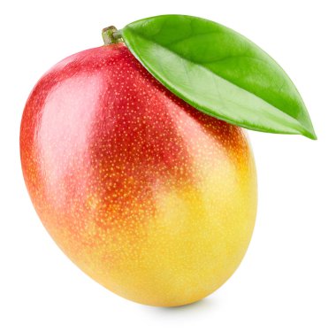 Beyaz üzerine izole edilmiş mango meyvesi.